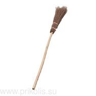 Метла ведьмы